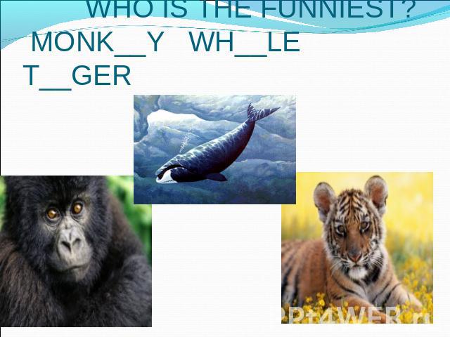 WHO IS THE FUNNIEST? MONK__Y WH__LE T__GER