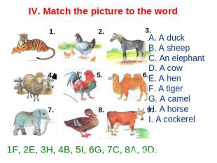 IV. Match the picture to the word A. A duck B. A sheep C. An elephant D. A cow E