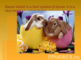 Easter Rabbit is a kind symbol of Easter. It is a very innocent animal. It eats
