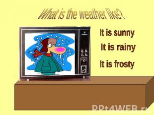 What is the weather like? It is sunny It is rainy It is frosty