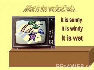 What is the weather like? It is sunny It is windy It is wet