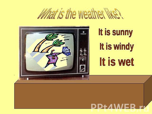 What is the weather like? It is sunny It is windy It is wet