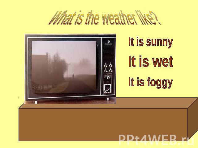 What is the weather like? It is sunny It is wet It is foggy