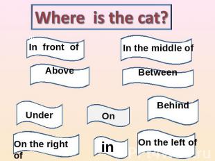 Where is the cat? of In front of Above Under On the right of In the middle of Be