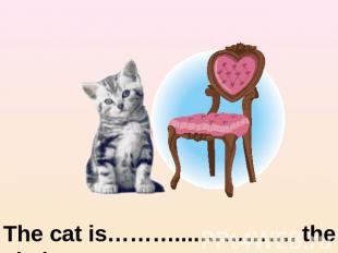 The cat is………....…………. the chair