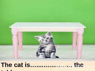 The cat is…....………….. the table.