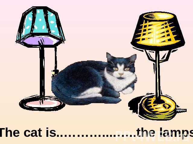 The cat is..………....…..the lamps.