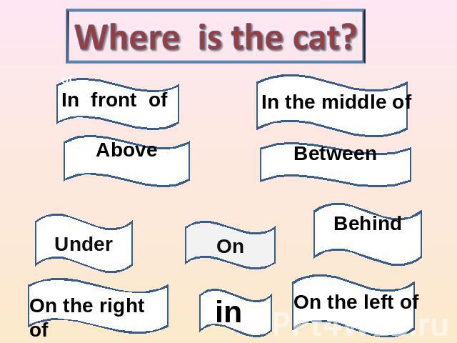 Where is the cat? of In front of Above Under On the right of In the middle of Between Behind On the left of On in
