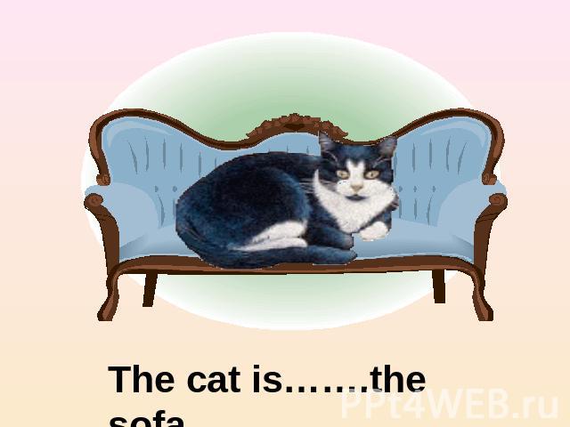 The cat is…….the sofa