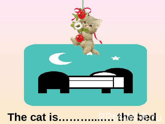 The cat is………....… the bed