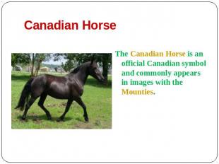 Canadian Horse The Canadian Horse is an official Canadian symbol and commonly ap
