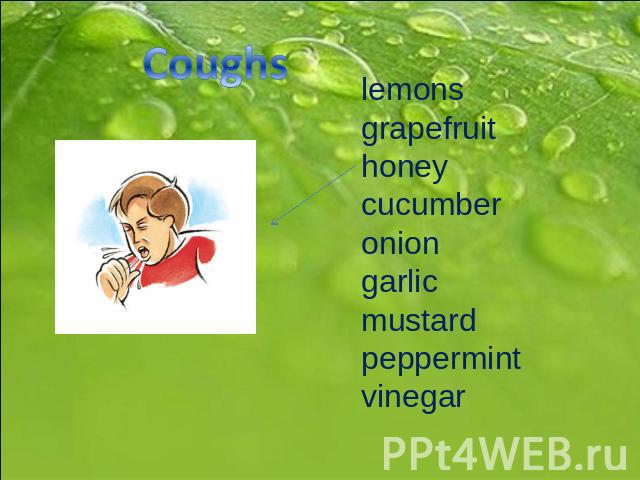Coughs lemons grapefruit honey cucumber onion garlic mustard peppermint vinegar