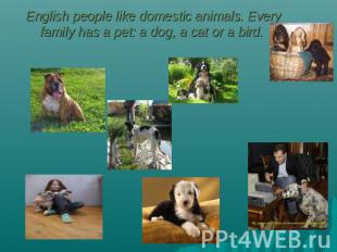 English people like domestic animals. Every family has a pet: a dog, a cat or a