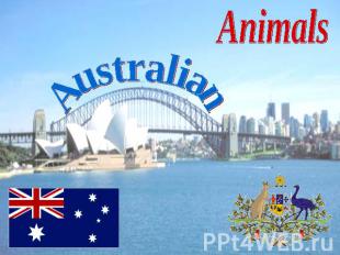 Animals Australian