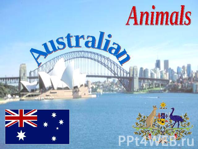 Animals Australian