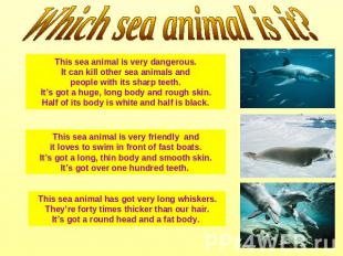 Which sea animal is it? This sea animal is very dangerous. It can kill other sea
