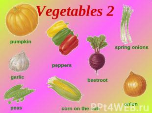 Vegetables 2 pumpkin garlic peas peppers сorn on the cob beetroot spring onions