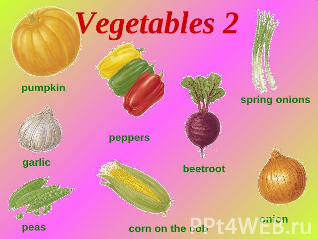 Vegetables 2 pumpkin garlic peas peppers сorn on the cob beetroot spring onions onion