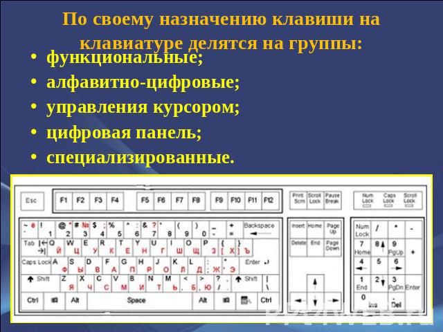 По своему назначению клавиши на клавиатуре делятся на группы: функциональные; функциональные; алфавитно-цифровые; управления курсором; цифровая панель; специализированные.