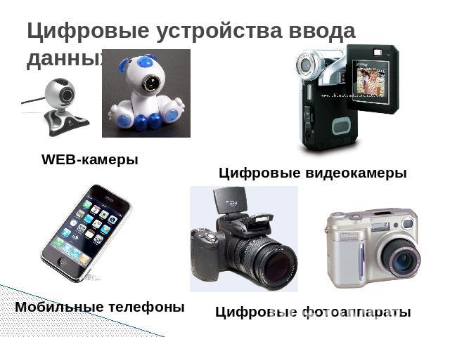 Цифровые устройства ввода данных WEB-камеры Цифровые видеокамеры Мобильные телефоны Цифровые фотоаппараты