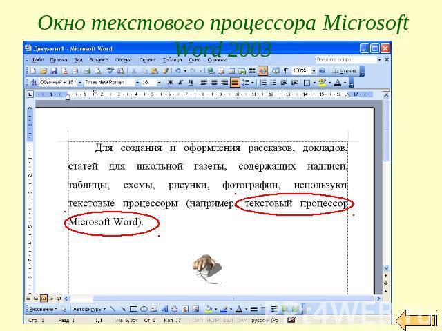 Окно текстового процессора Microsoft Word 2003