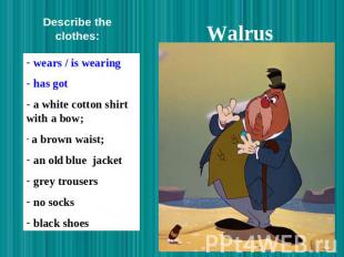 Walrus Describe the clothes: wears / is wearing has got a white cotton shirt wit