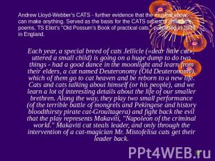 Each year, a special breed of cats Jellicle («dear little cat», uttered a small