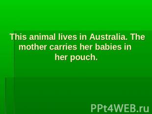 This animal lives in Australia. The mother carries her babies in her pouch.