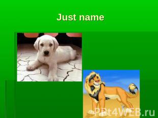 Just name A dog A lion