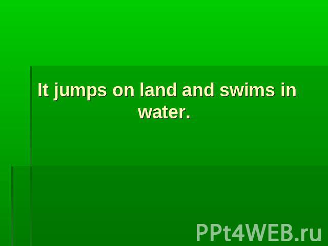 It jumps on land and swims in water.