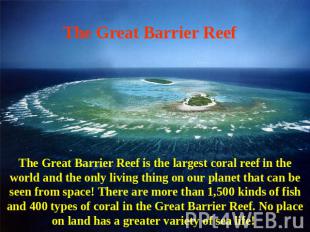The Great Barrier Reef The Great Barrier Reef is the largest coral reef in the w