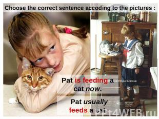 Choose the correct sentence accoding to the pictures : Pat is feeding a cat now.