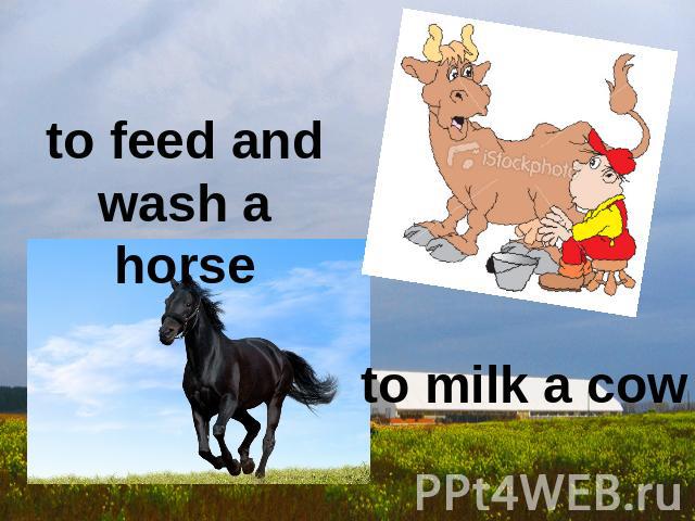 to feed and wash a horse to milk a cow