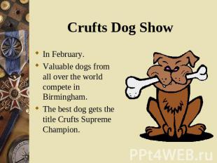 Crufts Dog Show In February. In February. Valuable dogs from all over the world
