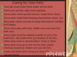 Caring for Your Pets. Your pet must have fresh water all the time. Feed your pet