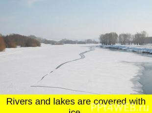 Rivers and lakes are covered with ice.