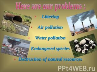 Littering Littering Air pollution Water pollution Endangered species Destruction