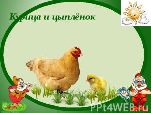 курица и цыплёнок