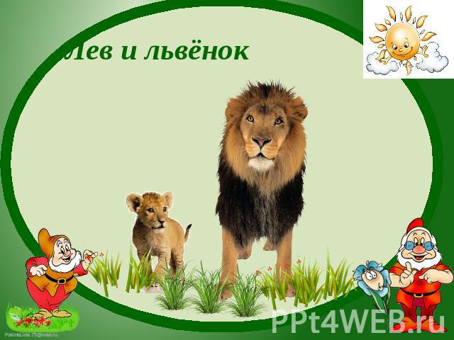 лев и львёнок