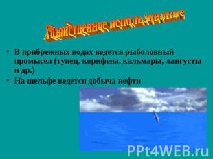 Хозяйственное использование В прибрежных водах ведется рыболовный промысел (туне