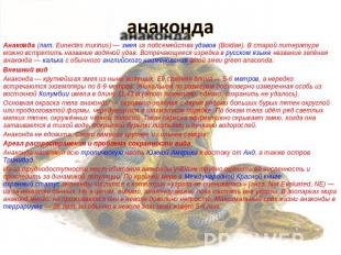 анаконда Анаконда (лат.&nbsp;Eunectes murinus)&nbsp;— змея из подсемейства удаво