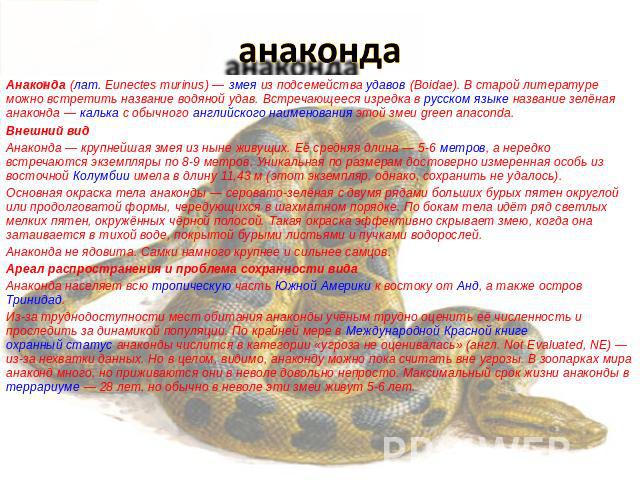 анаконда Анаконда (лат. Eunectes murinus) — змея из подсемейства удавов (Boidae). В старой литературе можно встретить название водяной удав. Встречающееся изредка в русском языке название зелёная анаконда — калька с обычного английско…