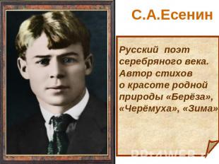С.А.Есенин Русский поэт серебряного века. Автор стихов о красоте родной природы