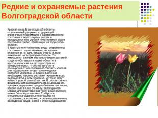 Редкие и охраняемые растения Волгоградской области Красная книга Волгоградской о