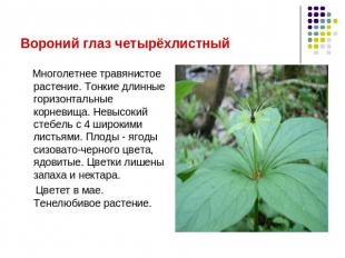 Степные растения волгоградской области фото и названия