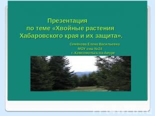 Презентация по теме «Хвойные растения Хабаровского края и их защита». Семёнова Е