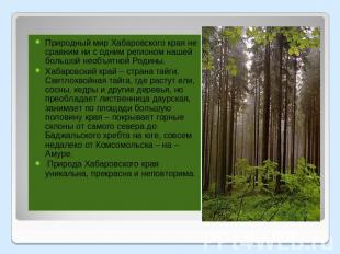 Природный мир Хабаровского края не сравним ни с одним регионом нашей большой нео