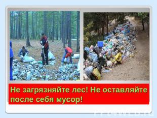 Не загрязняйте лес! Не оставляйте после себя мусор!