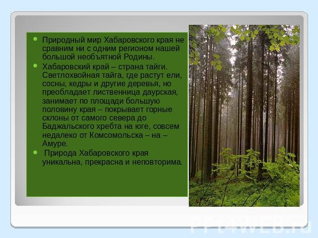 Природный мир Хабаровского края не сравним ни с одним регионом нашей большой необъятной Родины. Хабаровский край – страна тайги. Светлохвойная тайга, где растут ели, сосны, кедры и другие деревья, но преобладает лиственница даурская, занимает по пло…