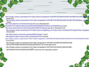 http://images.yandex.ru/yandsearch?nl=1&ed=1&rpt=simage&text=%D0%BF%D0%B0%D0%BF%